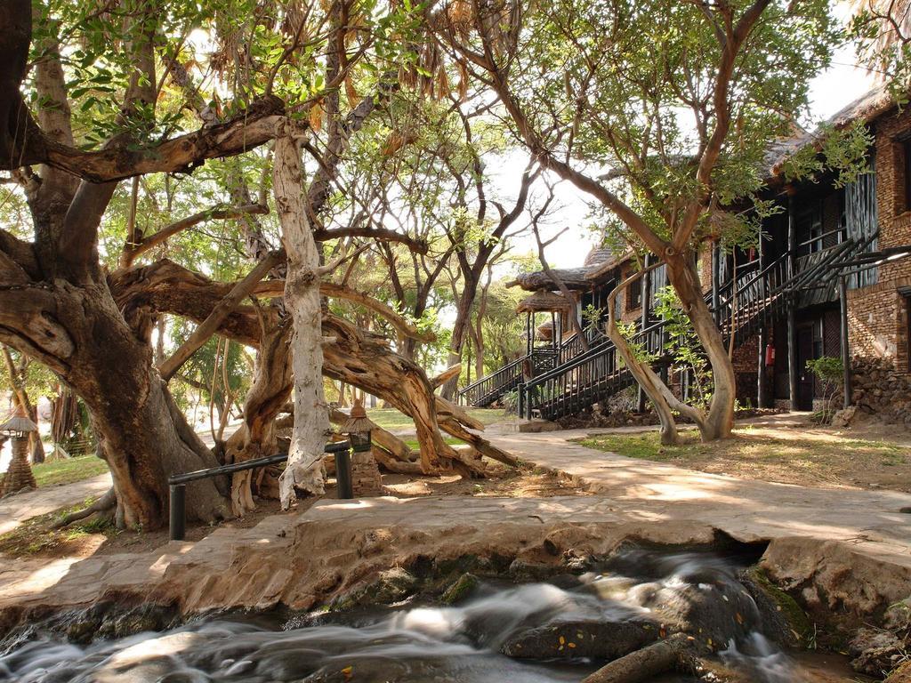 Sarova Shaba Game Lodge Archers Post Dış mekan fotoğraf
