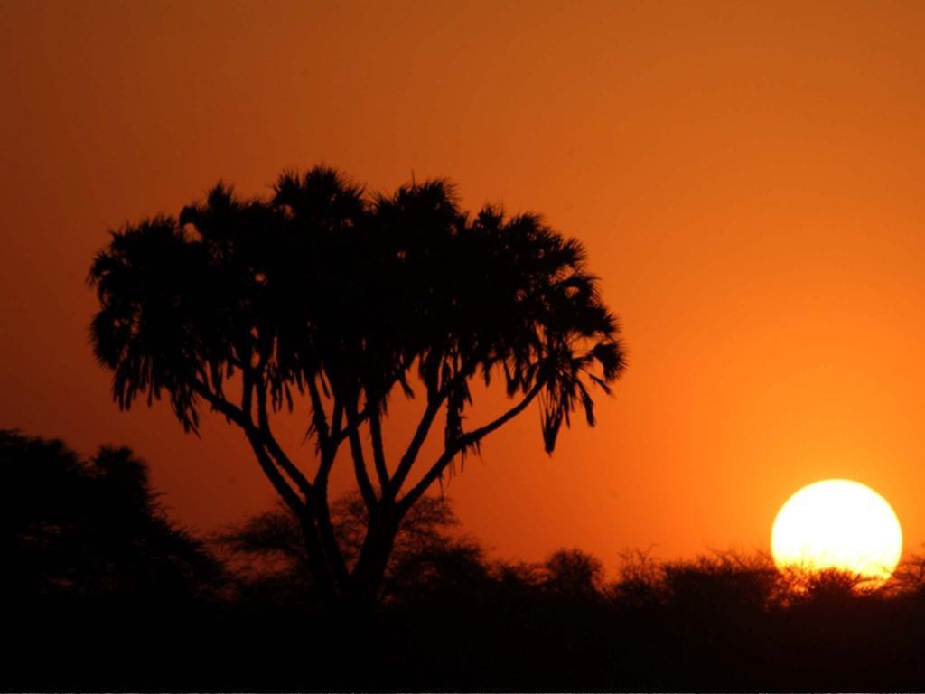 Sarova Shaba Game Lodge Archers Post Dış mekan fotoğraf